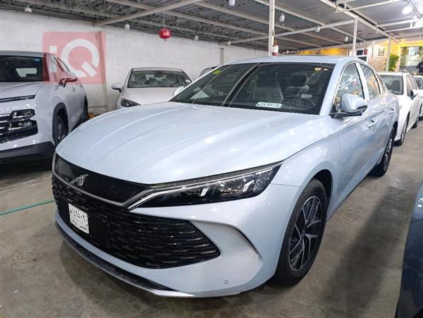 بي واي دي كوين L DM-i 2025 للبيع في العراق -  بغداد